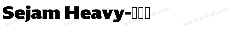 Sejam Heavy字体转换